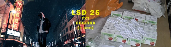 ПСИЛОЦИБИНОВЫЕ ГРИБЫ Балабаново