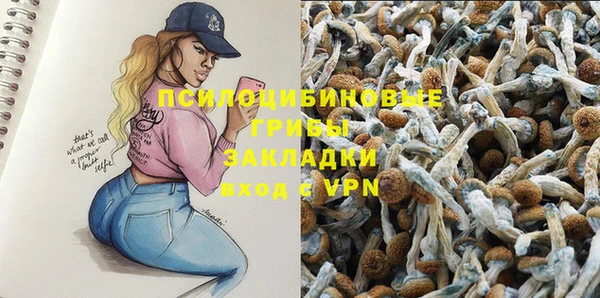 молекула духа Балахна
