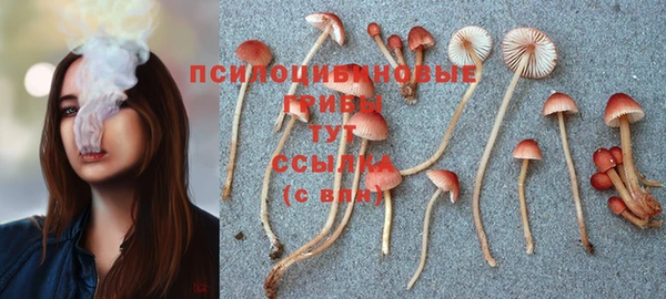 герыч Белокуриха