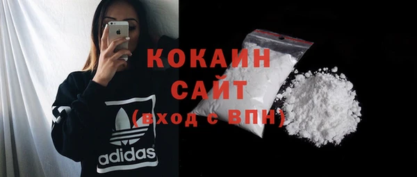молекула духа Балахна