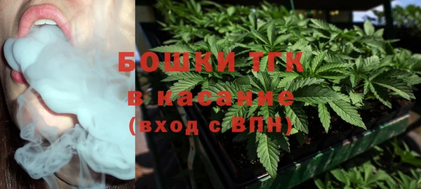 молекула духа Балахна
