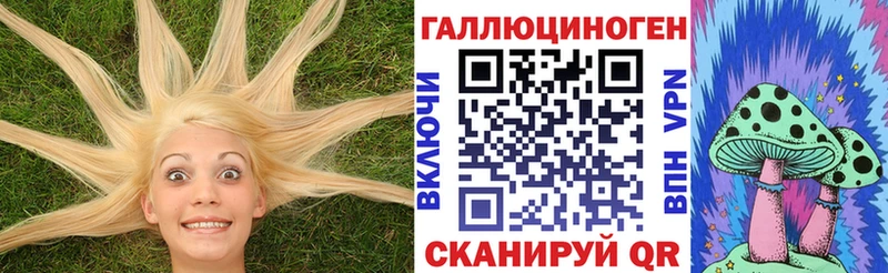 гидра tor  Печора  Псилоцибиновые грибы Psilocybine cubensis 