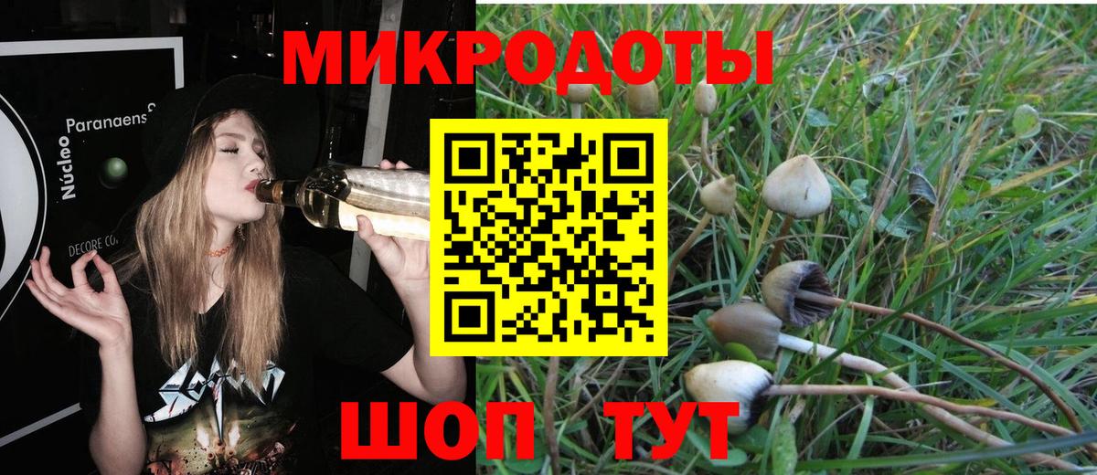 Псилоцибиновые грибы MAGIC MUSHROOMS Печора
