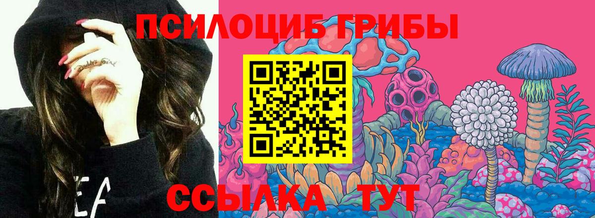 Печора  Псилоцибиновые грибы прущие грибы  Вход с VPN 