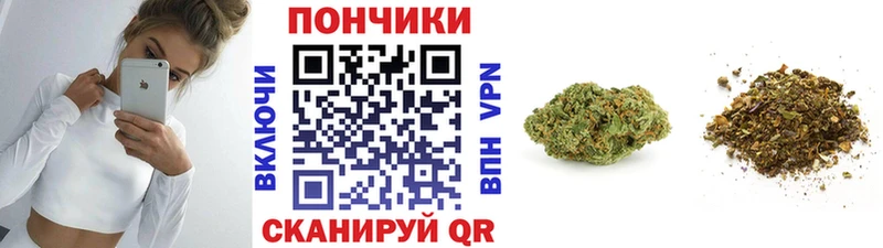 Бошки марихуана марихуана Печора